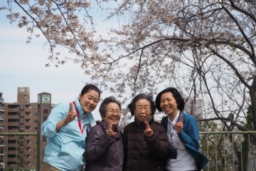 ゆたかなビレッジ桜 お花見風景2019