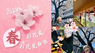 春　桜満開！！　2025年の桜が満開になりました。お花見&お花見弁当の季節がやってきた